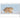 Erlebte Wildnis - Kalender 2026 B2B moin Kalender