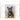 Hunde - Kalender 2026 B2B moin Kalender
