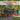 Eisenbahnen - Kalender 2026 KFP-B2C Alpha Edition