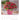 Der Duft der Rosen - Kalender 2026 KFP-B2C Alpha Edition