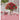 Blumengrüße - Kalender 2026 KFP-B2C Alpha Edition