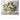 Blumenliebe - Kalender 2026 KFP-B2C Alpha Edition