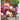 Bouquets - Kalender 2026 KFP-B2C NEUMANN