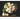 Geliebte Rosen - Kalender 2026 KFP-B2C DUMONT