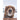 Tierisch cool! - Kalender 2026 Hybrid Alpha Edition