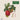 Fruits - Kalender 2026 KFP-B2C DUMONT