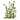 Best of Flora - Kalender 2026 KFP-B2C DUMONT