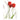 Best of Flora - Kalender 2026 KFP-B2C DUMONT