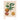 Alte Obstsorten - Kalender 2026 KFP-B2C DUMONT