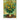 Claude Monet - Kalender 2026 B2C Alpha Edition