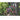 Blumenpracht - Kalender 2026 KFP-B2C Alpha Edition