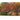 Gartenparadiese - Kalender 2026 KFP-B2C Alpha Edition
