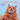 Funny Cats 30x30 - Kalender 2026 KFP-B2C Alpha Edition