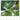 Faszination der Natur - Kalender 2027