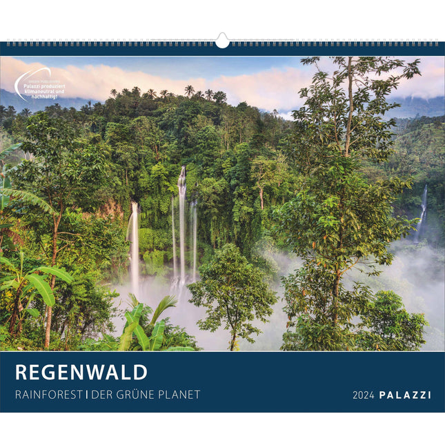 Regenwald 2024