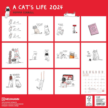 A Cat's Life 2024