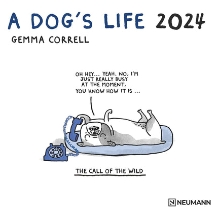 A Dog's Life 2024