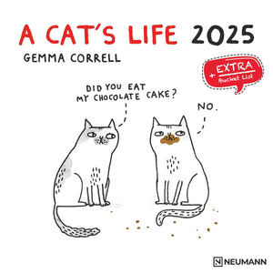 A Cat's Life 2025