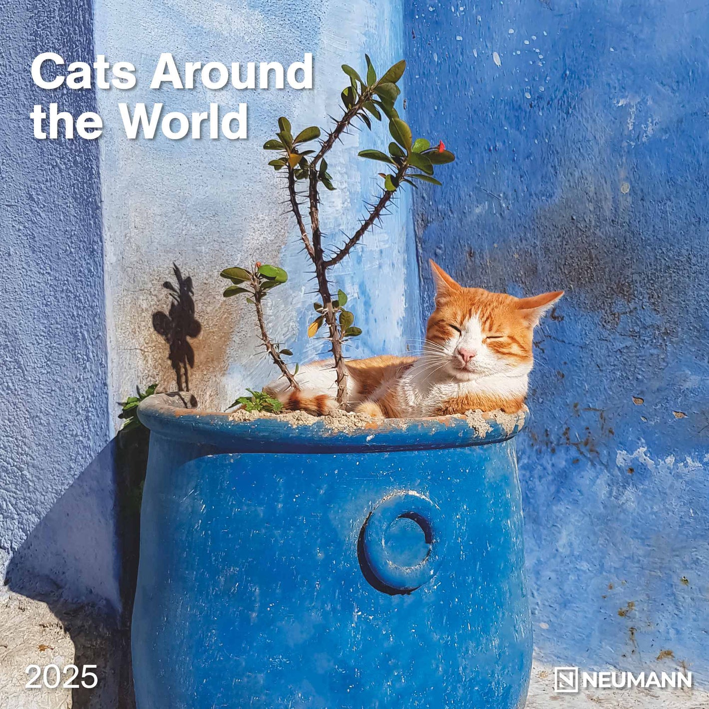Cats Around the World 2025