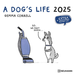 A Dog's Life 2025