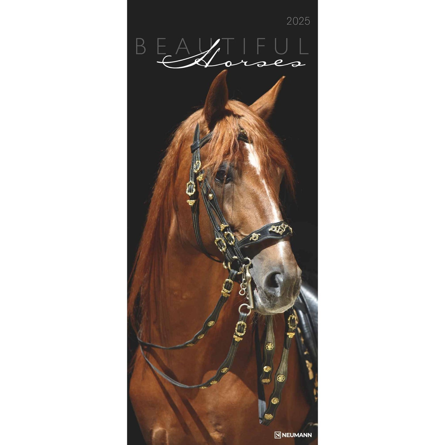 Beautiful Horses 2025 - Wandkalender 2025