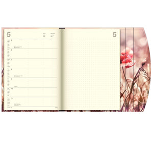 Flowers  Magneto Diary 2025