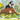 The Little Mole - Calendar 2026