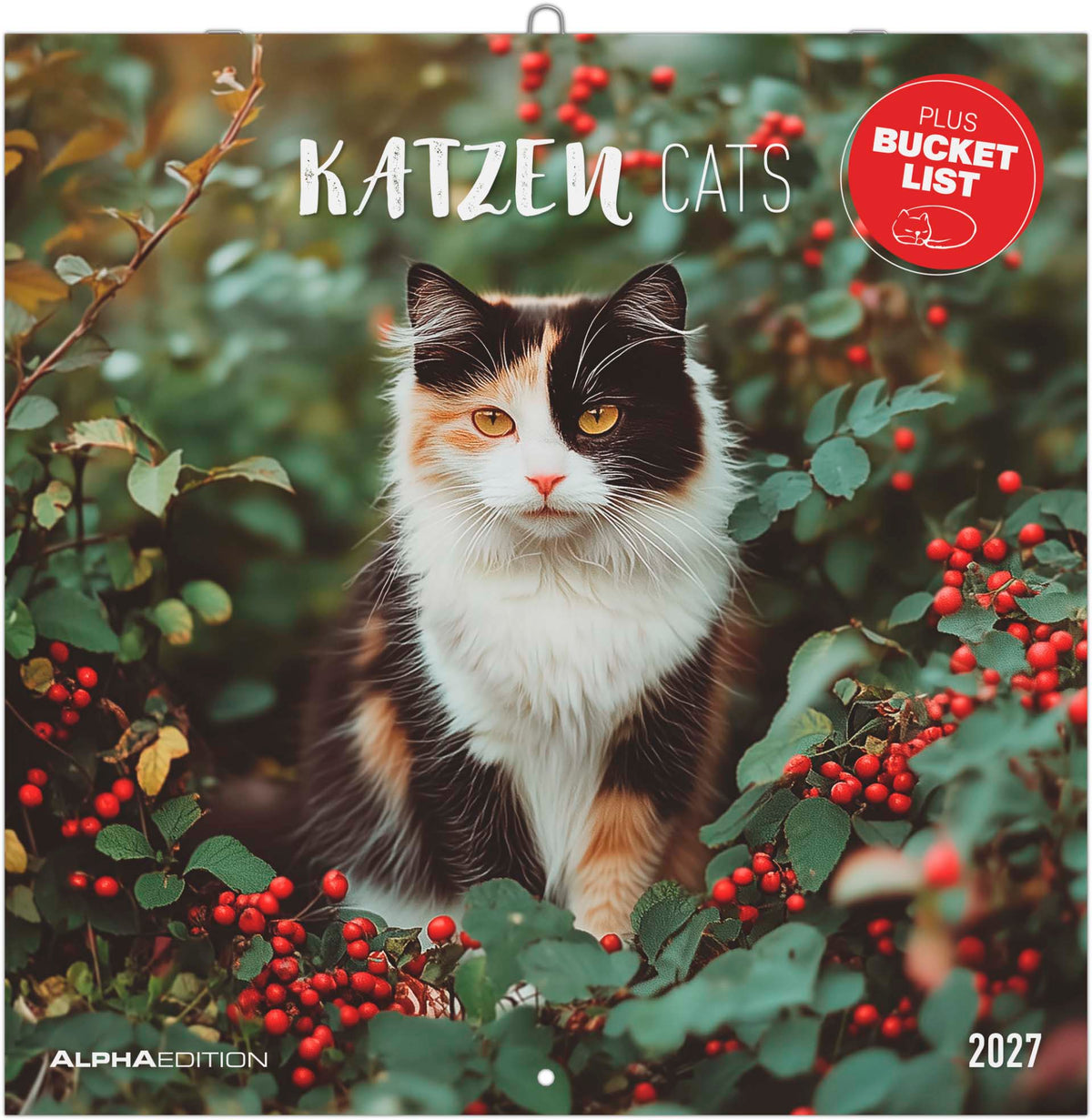 Katzen 2027