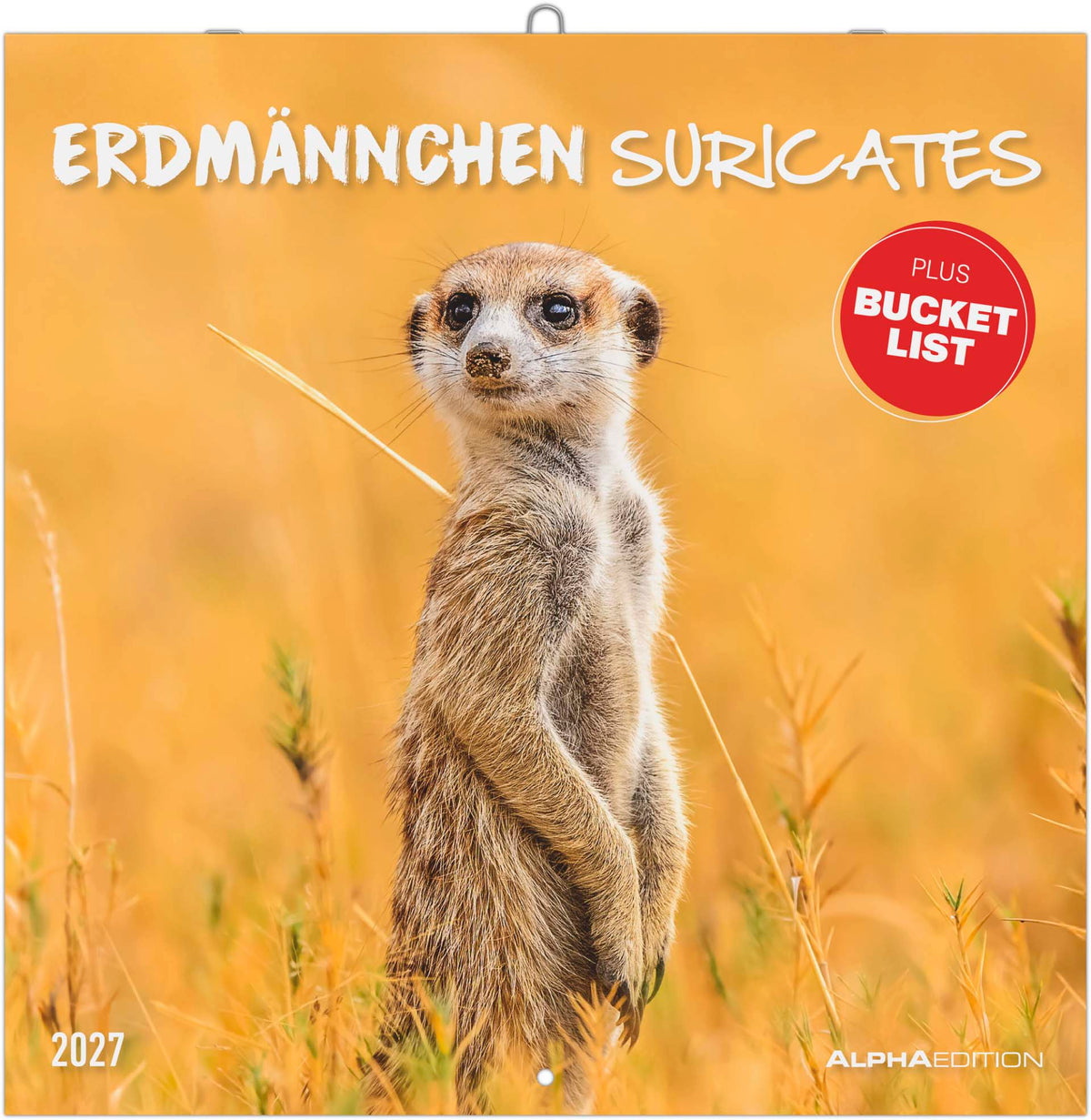Wandkalender Erdmännchen 2027