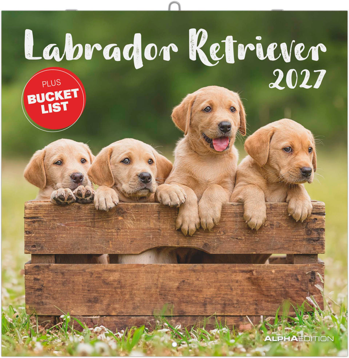 Labrador Retriever 2027