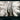 GEO Kalender: Sehnsucht Wald 2027