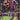 FC Bayern München Posterkalender 2027