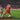 FC Bayern München Kalender 2027