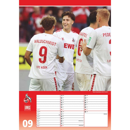 1. FC Köln 2024