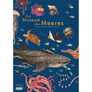 Das Museum des Meeres 2024