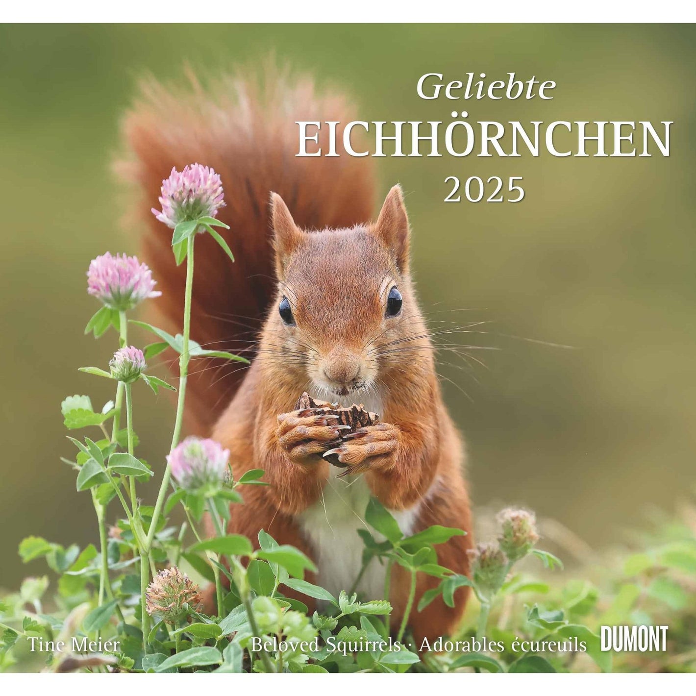 Geliebte Eichhörnchen 2025