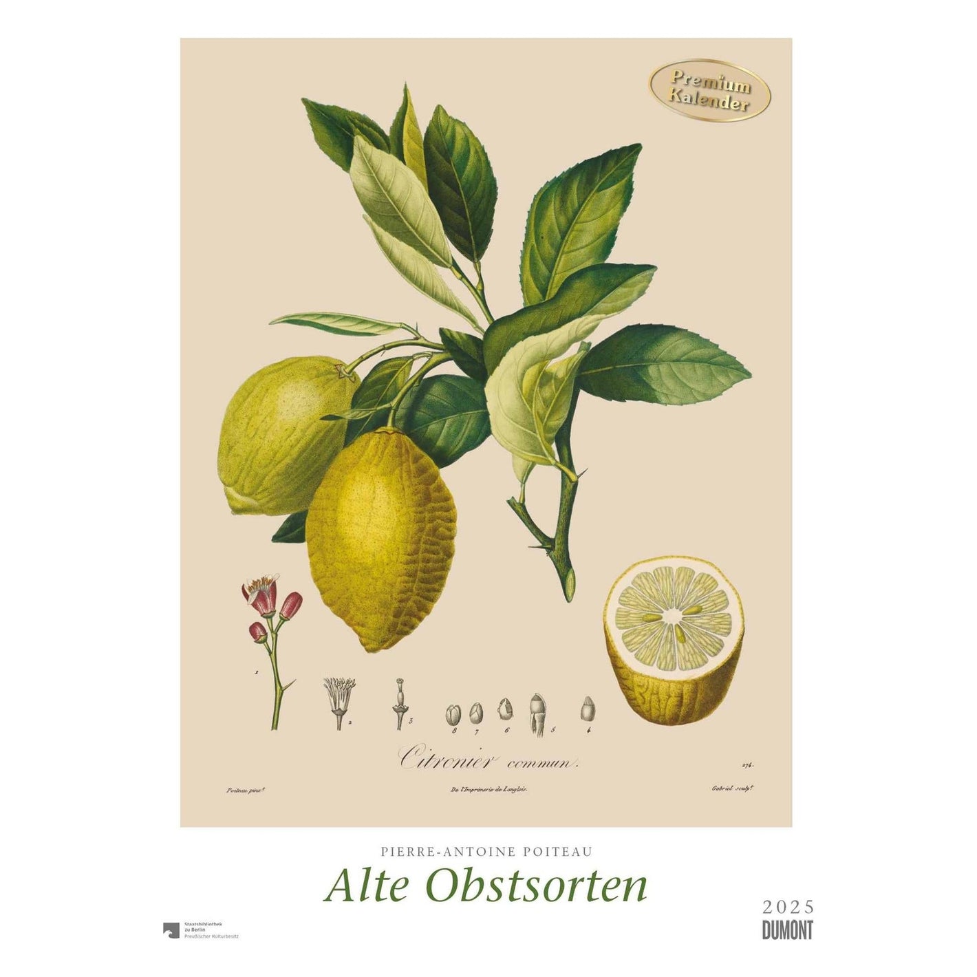 Alte Obstsorten 2025 - Wandkalender 2025