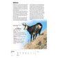 Ravensburger Tierkalender 2025 Wochenkalender