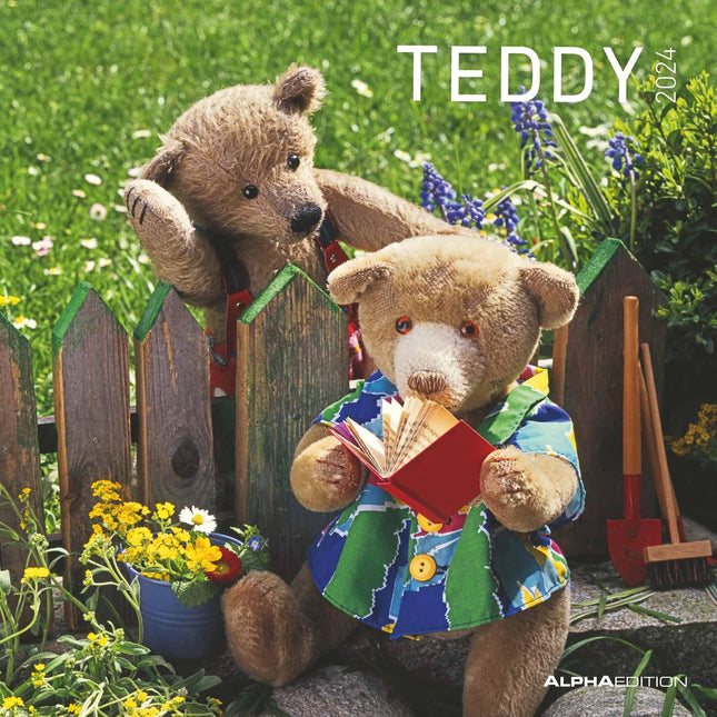 Teddy 2024