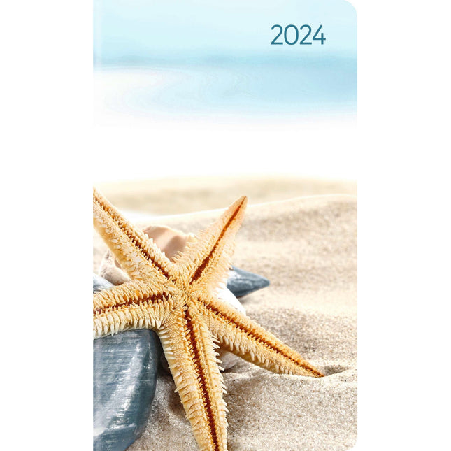 Ladytimer Slim Sea Star 2024