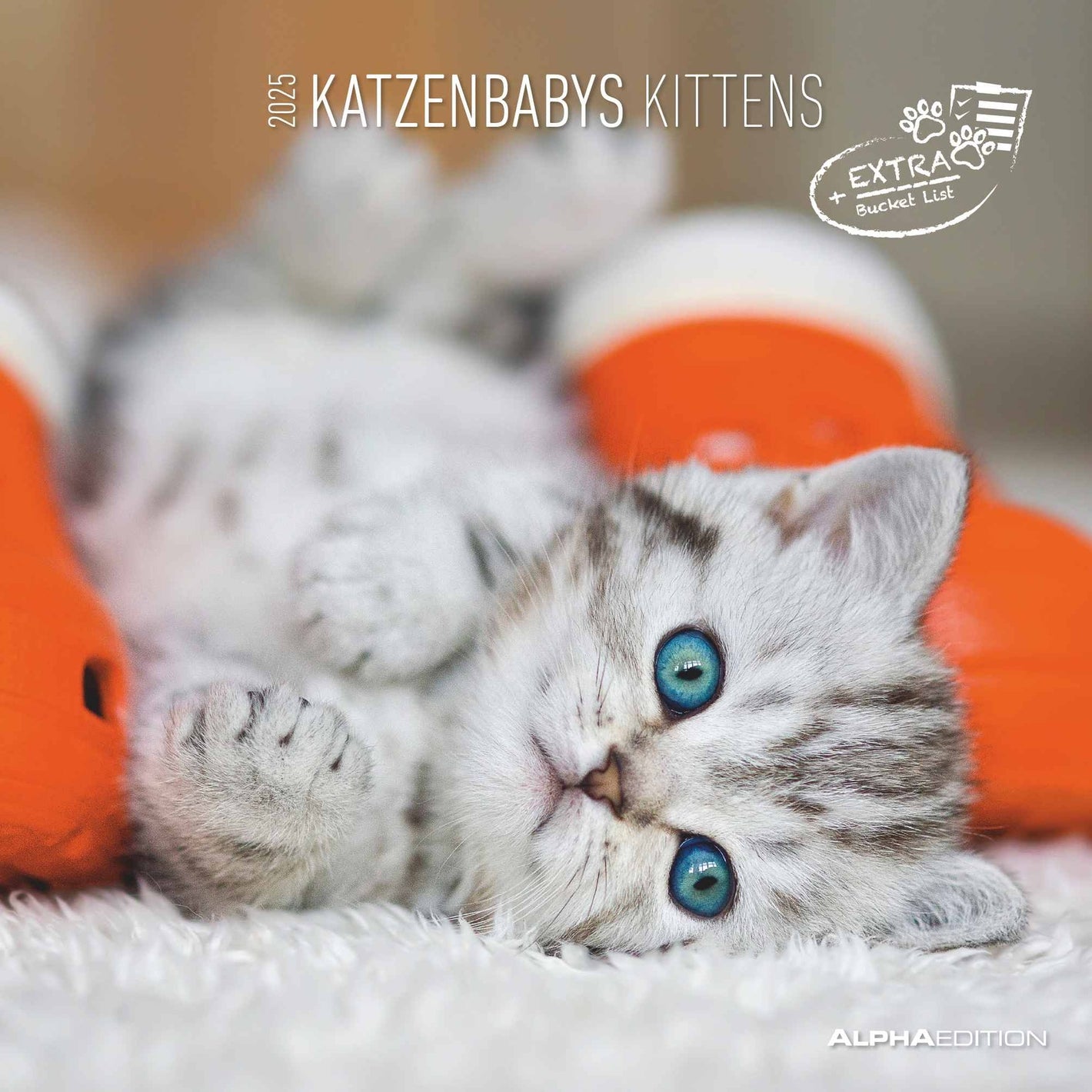 Katzenbabys 2025