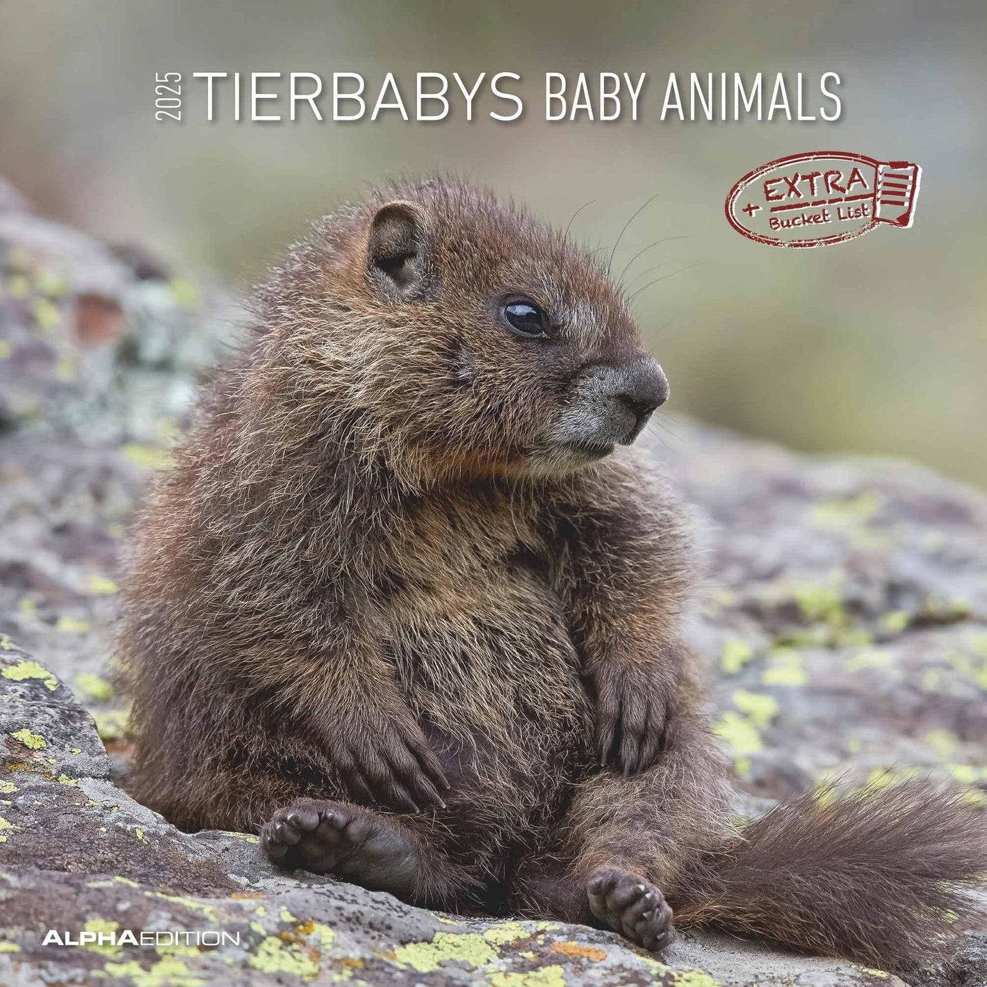 Tierbabys 2025