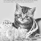 Der poetische Katzenkalender 2025