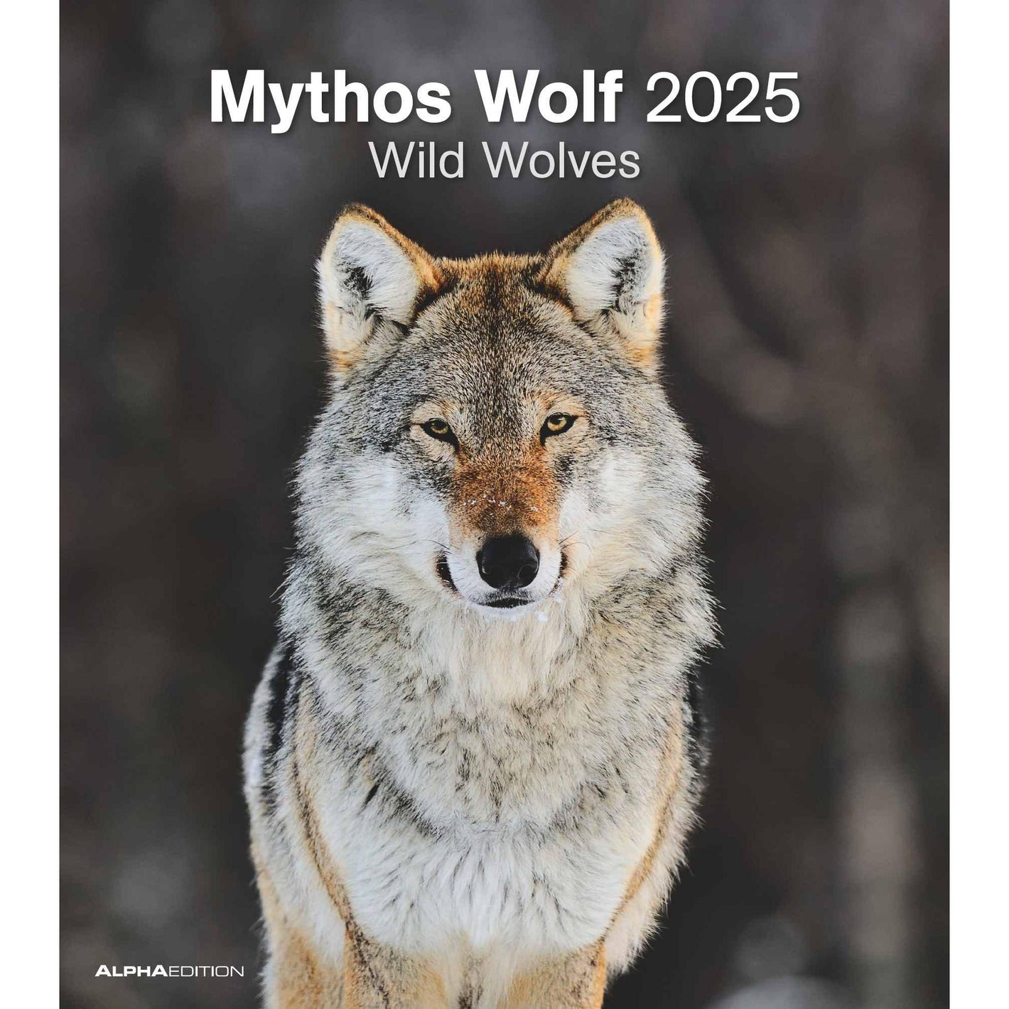 Mythos Wolf 2025