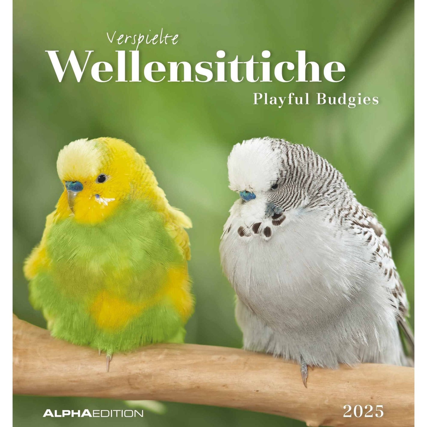 Wellensittiche 2025