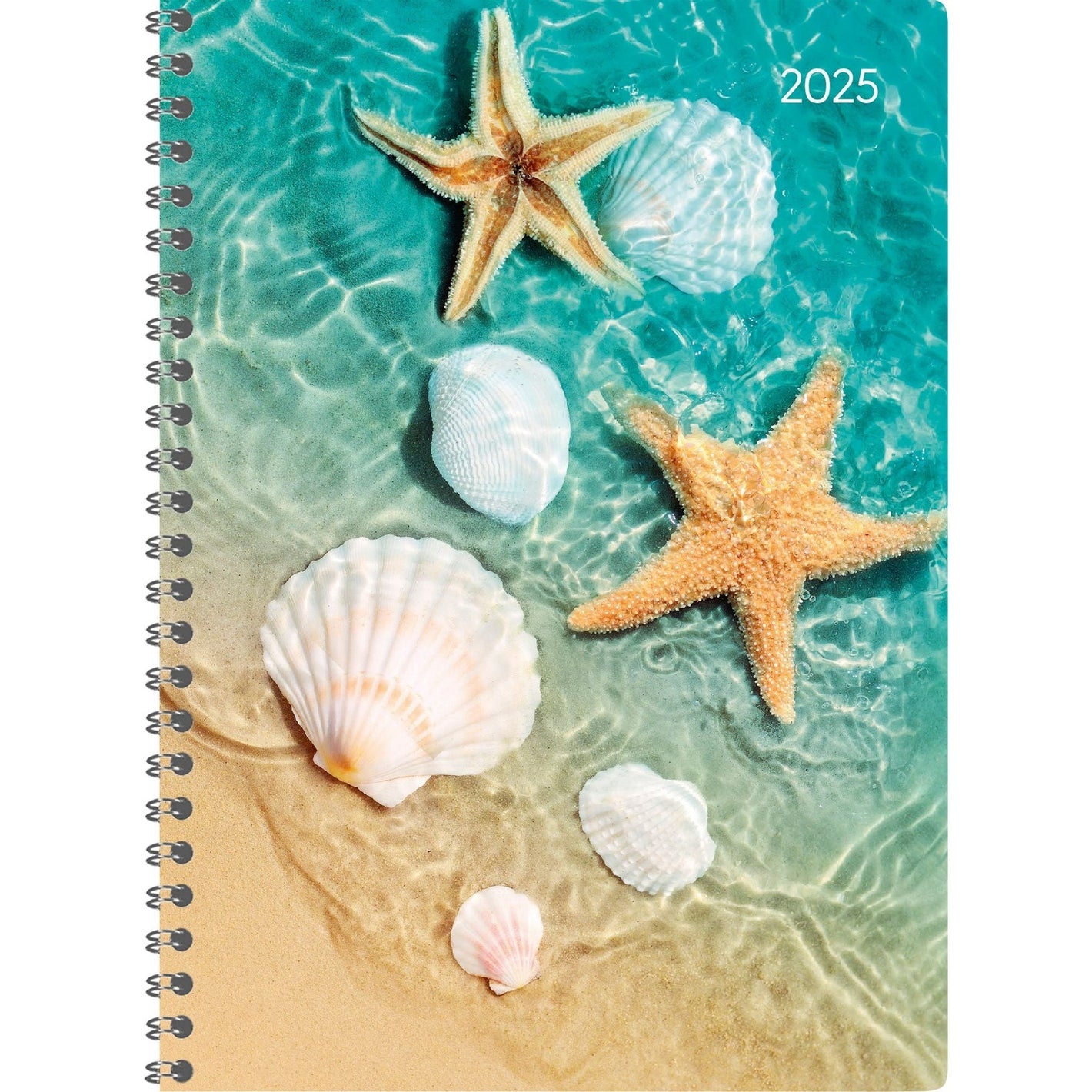 Ladytimer Ringbuch Beach  A5 2025