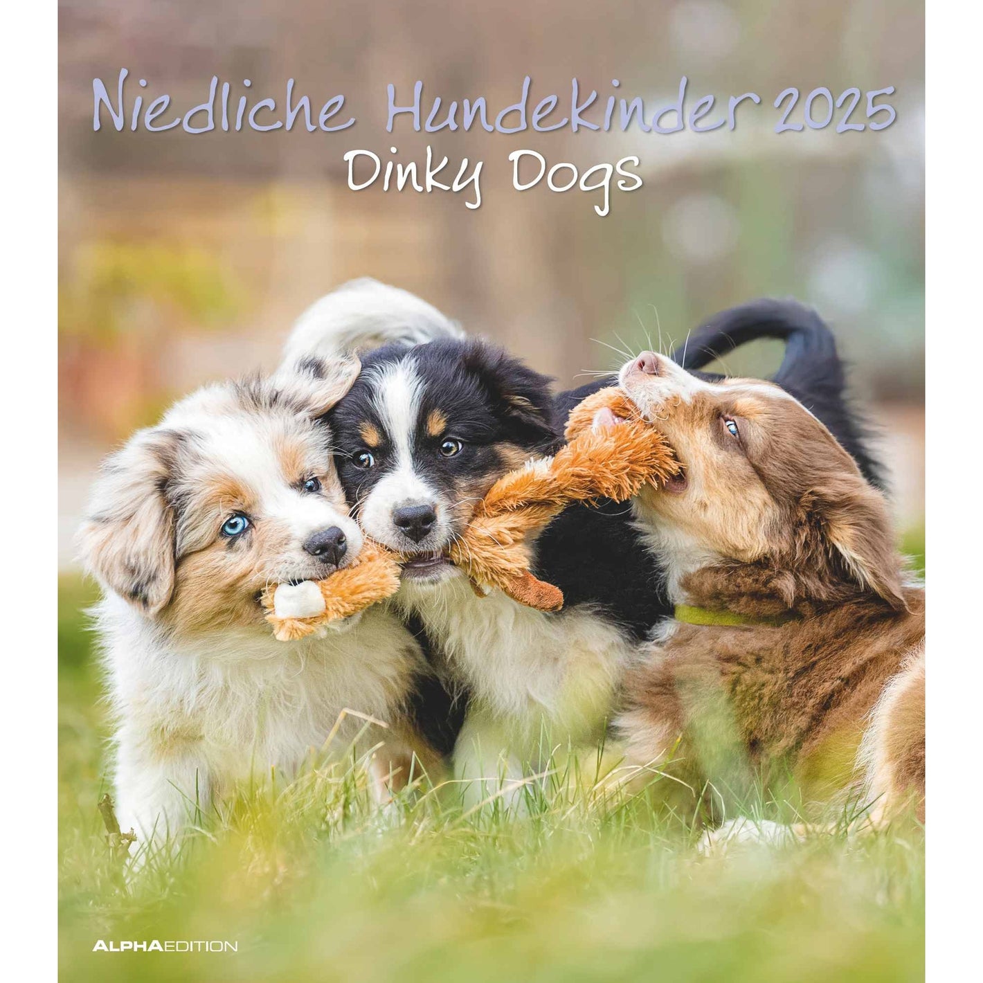 Niedliche Hundekinder 2025