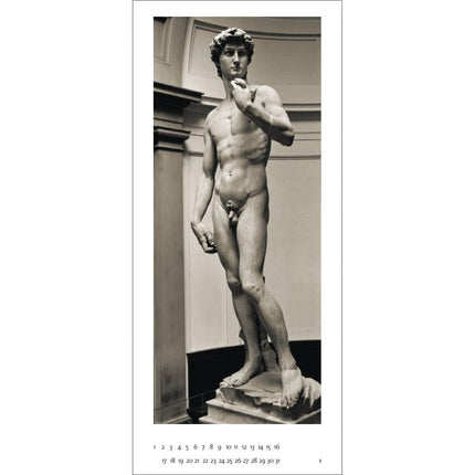 Genius Michelangelo David Panorama Zeitlos
