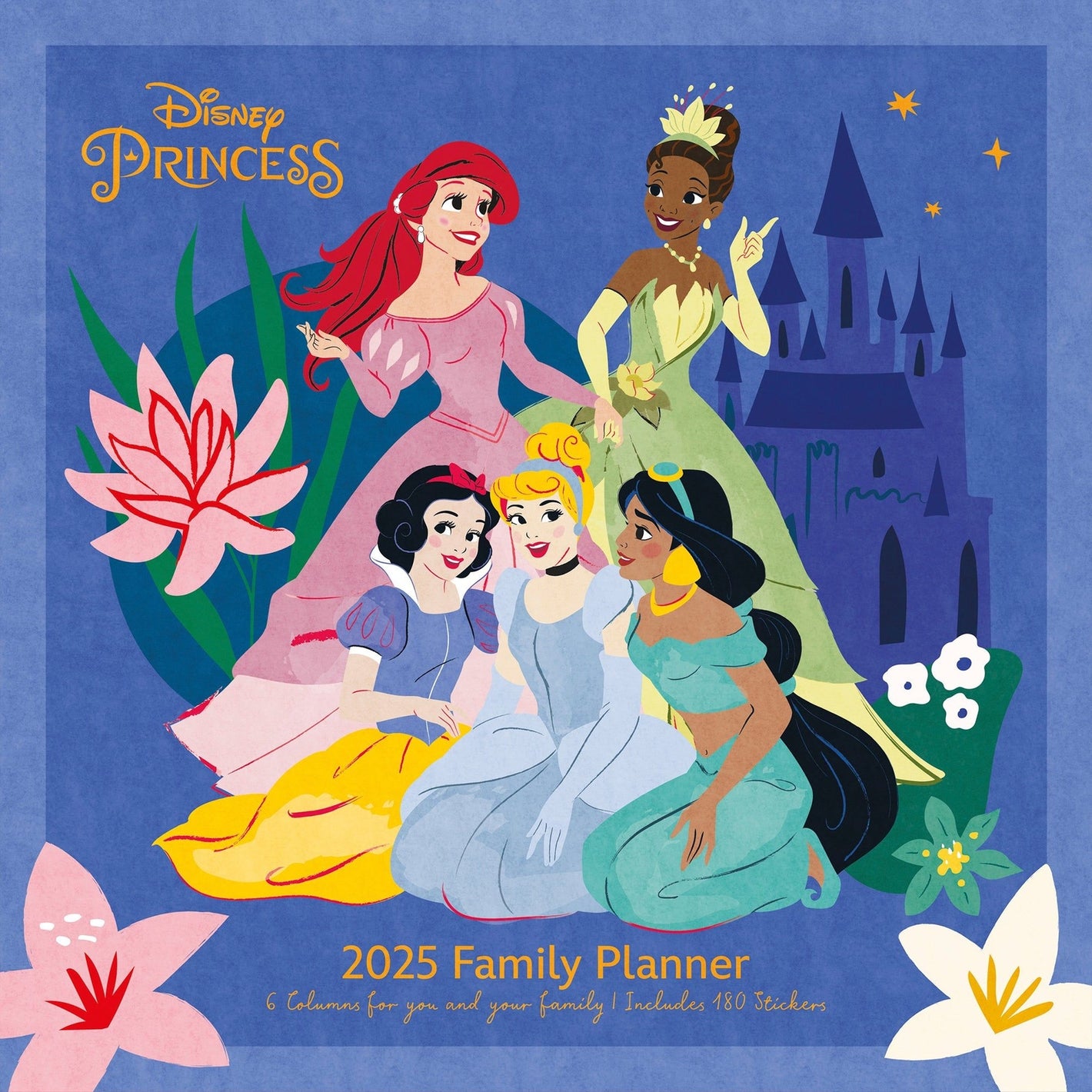 DISNEY PRINCESS 2025  Familienplaner - Familienplaner 2025