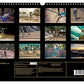 Skateboarding, so cool Kalender 2025 - Wandkalender 2025